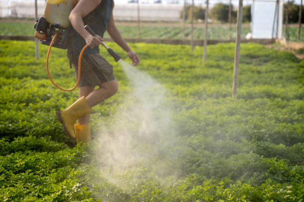 Professional Pest Control in Village Green, NY