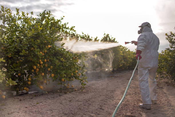 Pest Control Cost in Village Green, NY