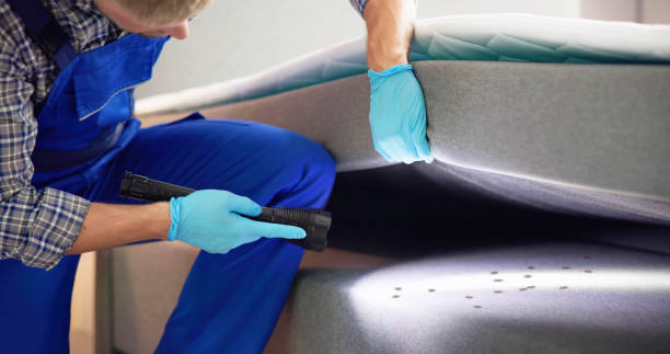 Best Residential Pest Control  in Village Green, NY