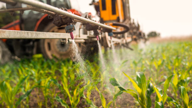Best Pest Control for Homes  in Village Green, NY