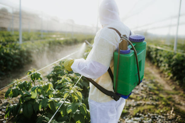 Best Local Pest Control Services  in Village Green, NY